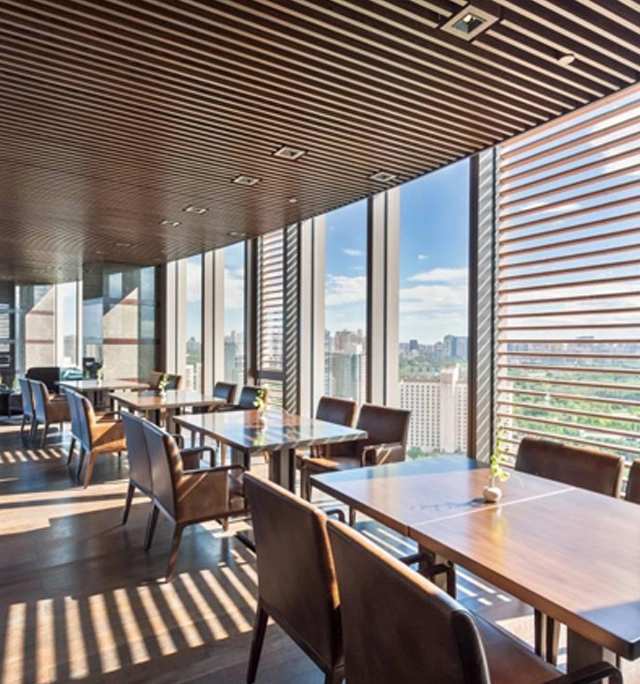 Blog de vidrio aislado ciego y descargar