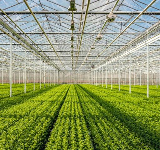 Paneles de vidrio para invernadero