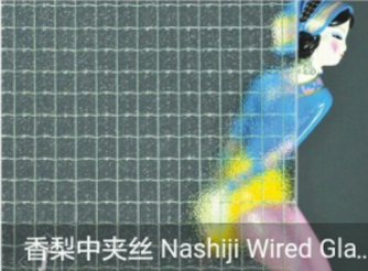 Patterend Glass Patterend Glass