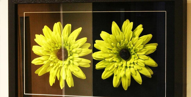 Anti Reflective Glass Anti Reflective Glass