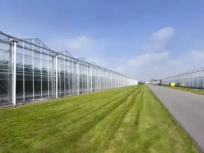 Análisis de las ventajas de los invernaderos de vidrio inteligentes