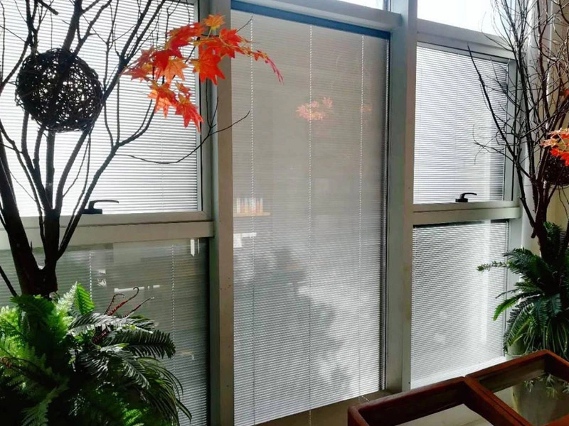 Vidrio aislado ciego: limpieza fácil e insonorizado y mejor efecto de sombreado